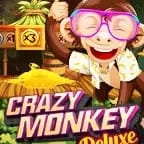 Crazy Monkey Deluxe game cover